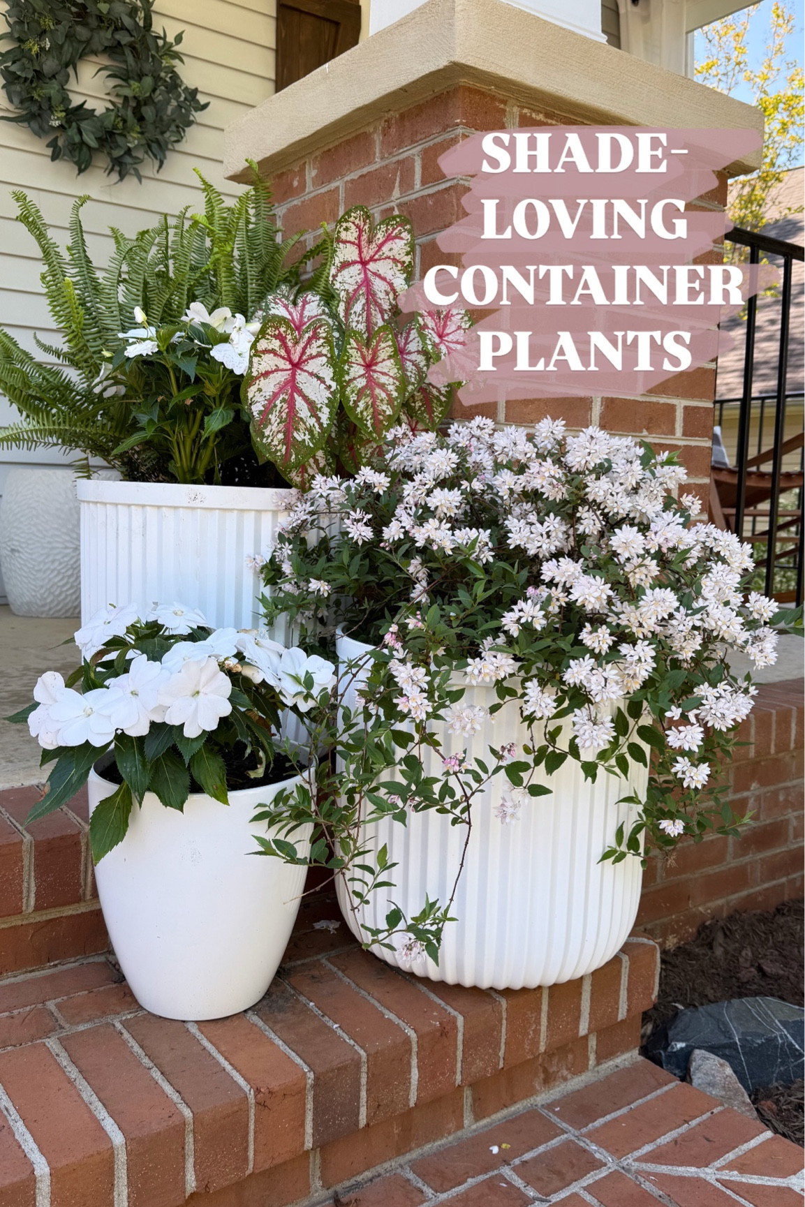 Linking the containers i used here! 

#LTKHome #LTKSeasonal