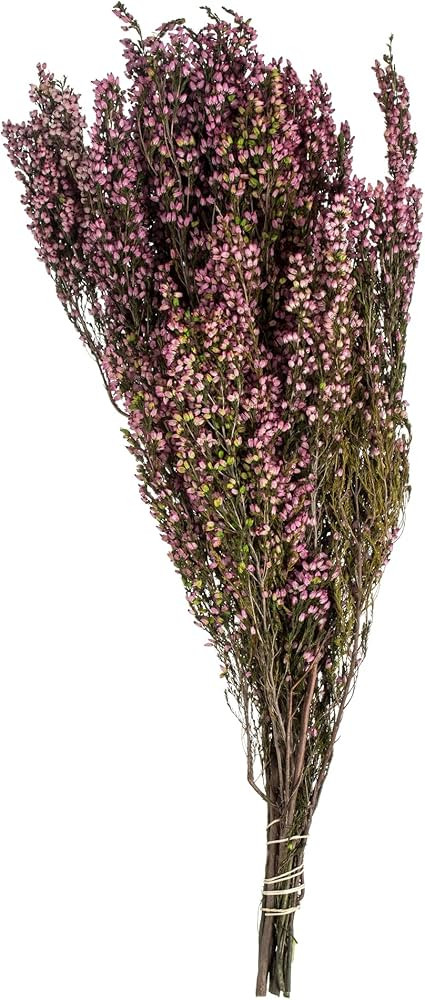 Vickerman 18-20" Pink Heather (Erica) - 4-5 oz Bundle, Preserved | Amazon (US)