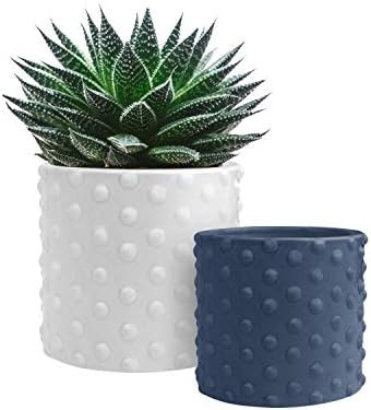 GrowLED Ceramic Pots for Plants with Drainage, Vintage Hobnail Patterned, 6 Inch & 5 Inch Plant Pots | Amazon (US)