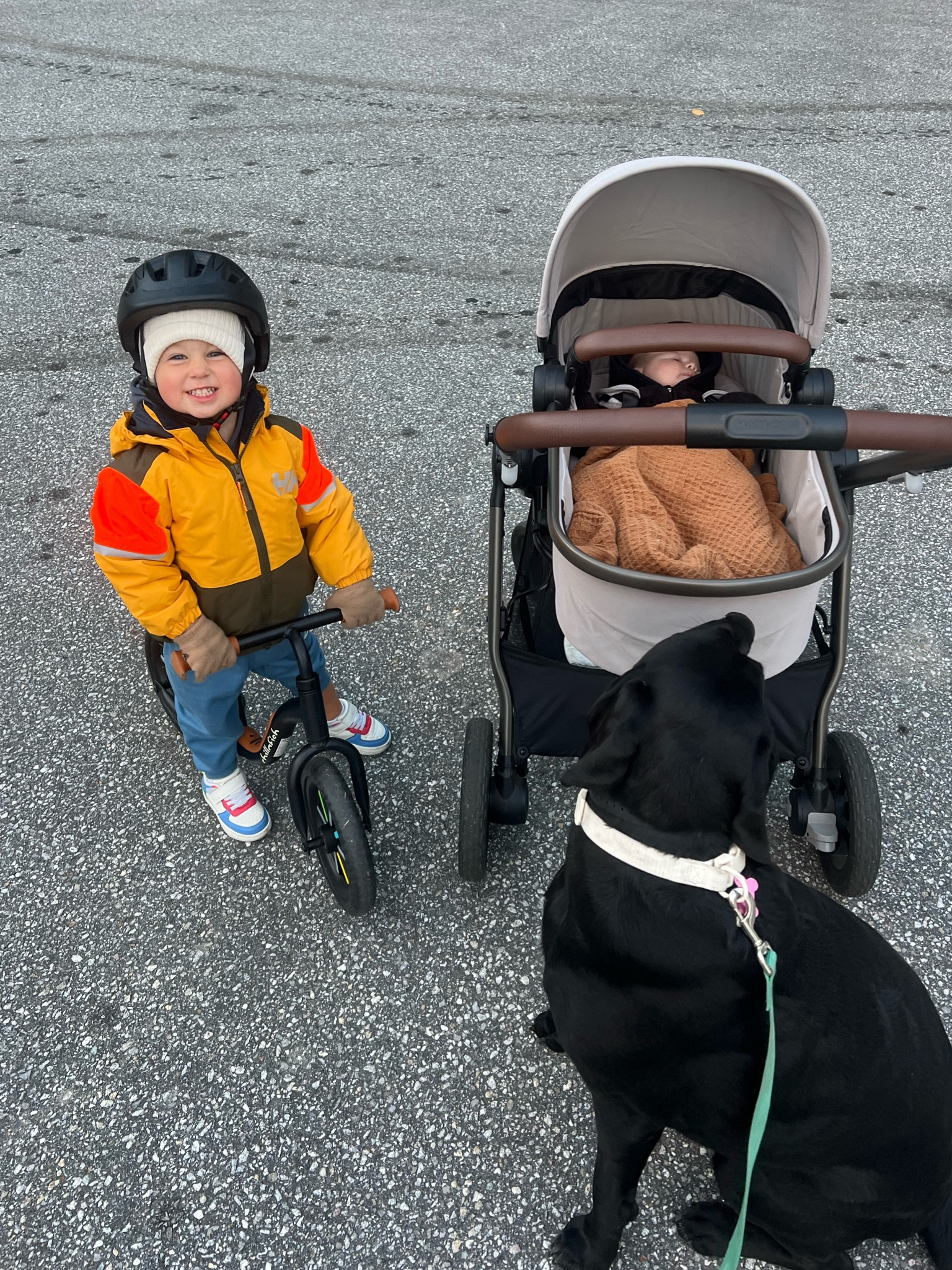 Daily walk essentials with toddler and baby 

stroller, kids bike, fall fun, walk essentials

#LTKKids #LTKBaby #LTKFamily