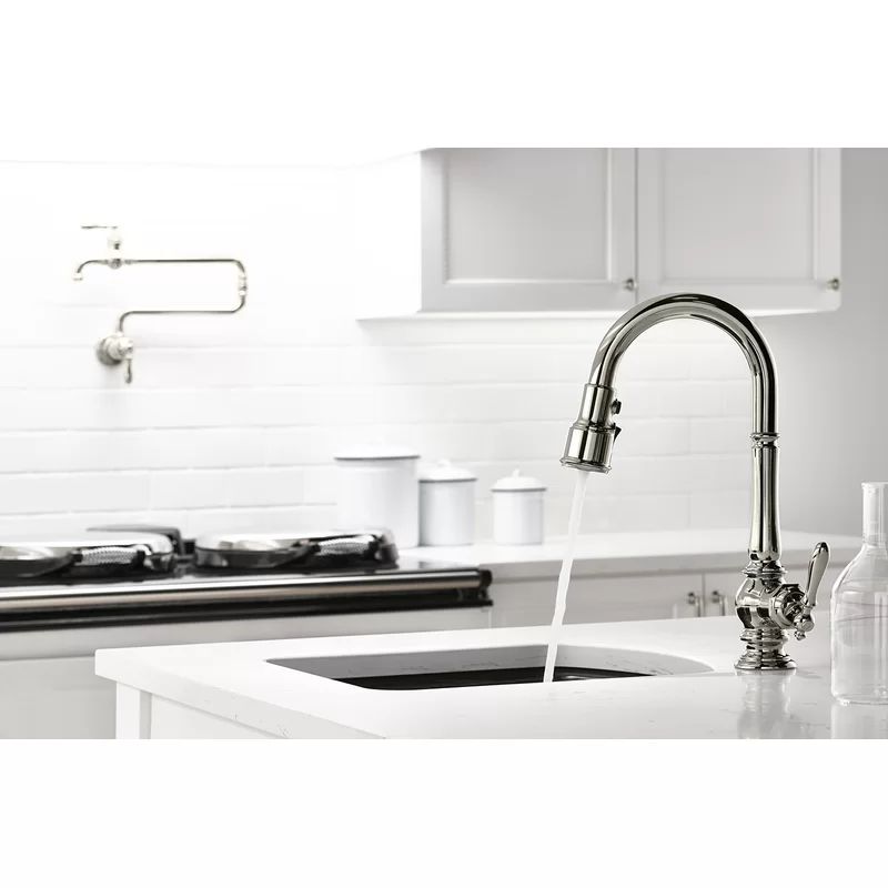 Artifacts® Pull Down Faucet with Docknetik® and BerrySoft™, ProMotion™, and MasterClean™ ... | Wayfair North America