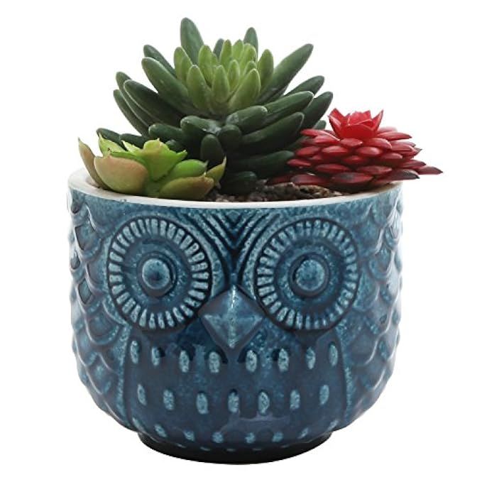 Whimsical Textured Owl Shaped Succulent Ceramic Planter Pot w/ Blue Glossy Finish | Amazon (US)