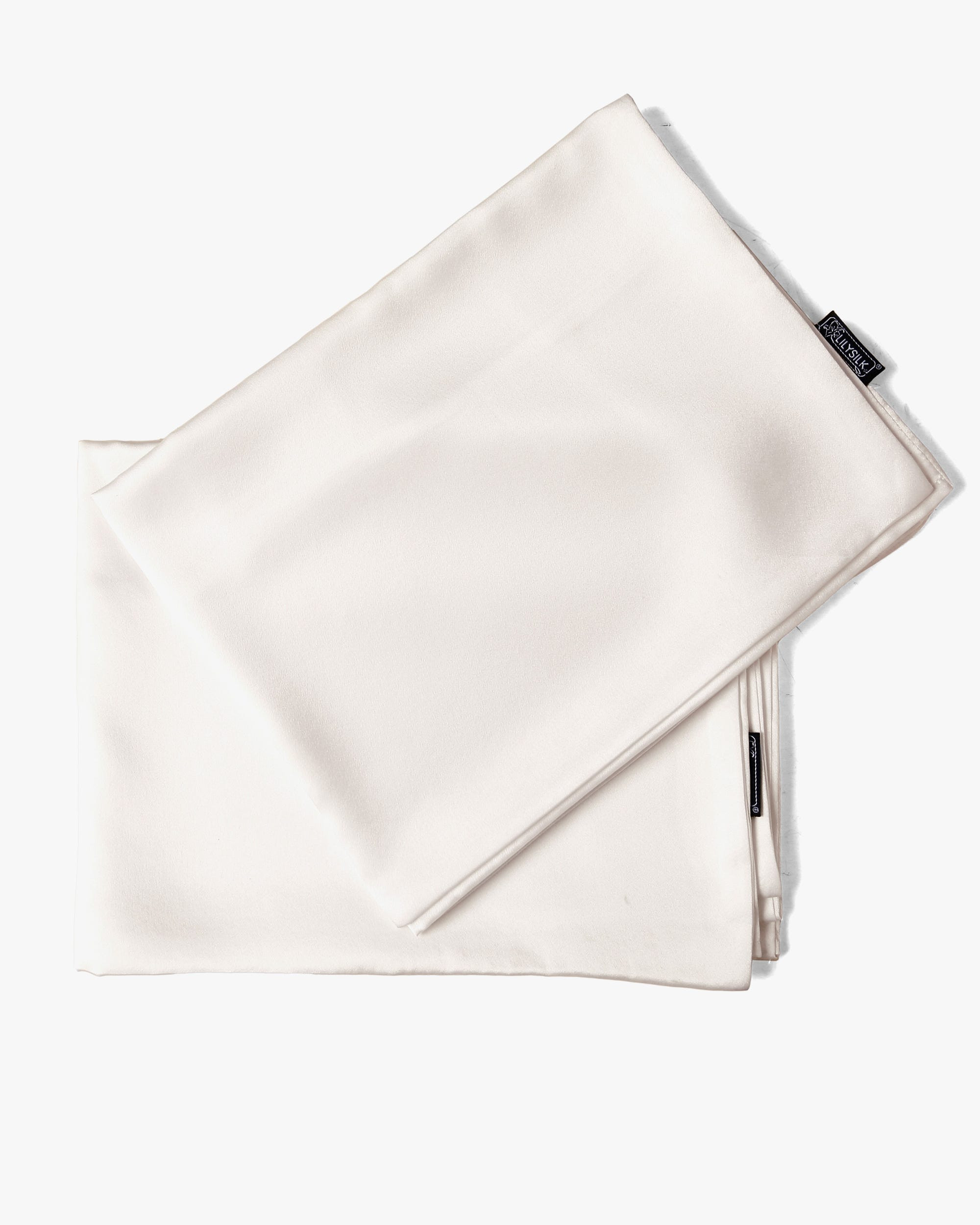 19 Momme Terse Envelope Silk Pillowcase | LilySilk