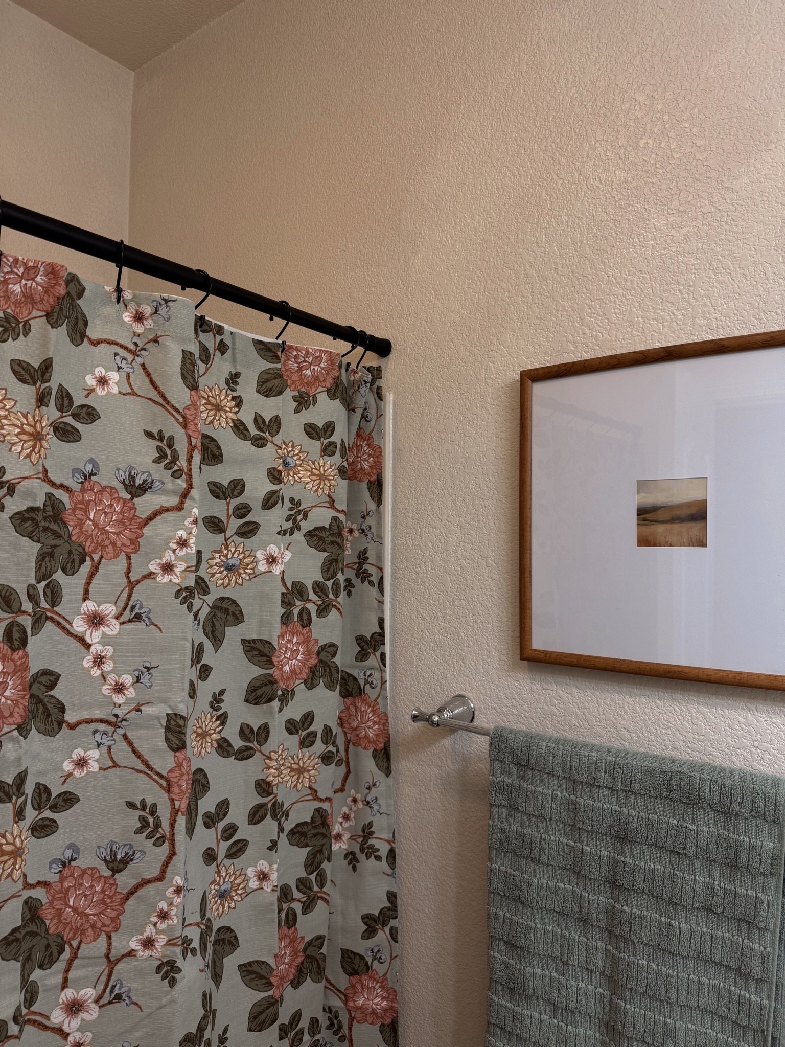 New shower curtain in our guest bath is sooo cute and only $25!