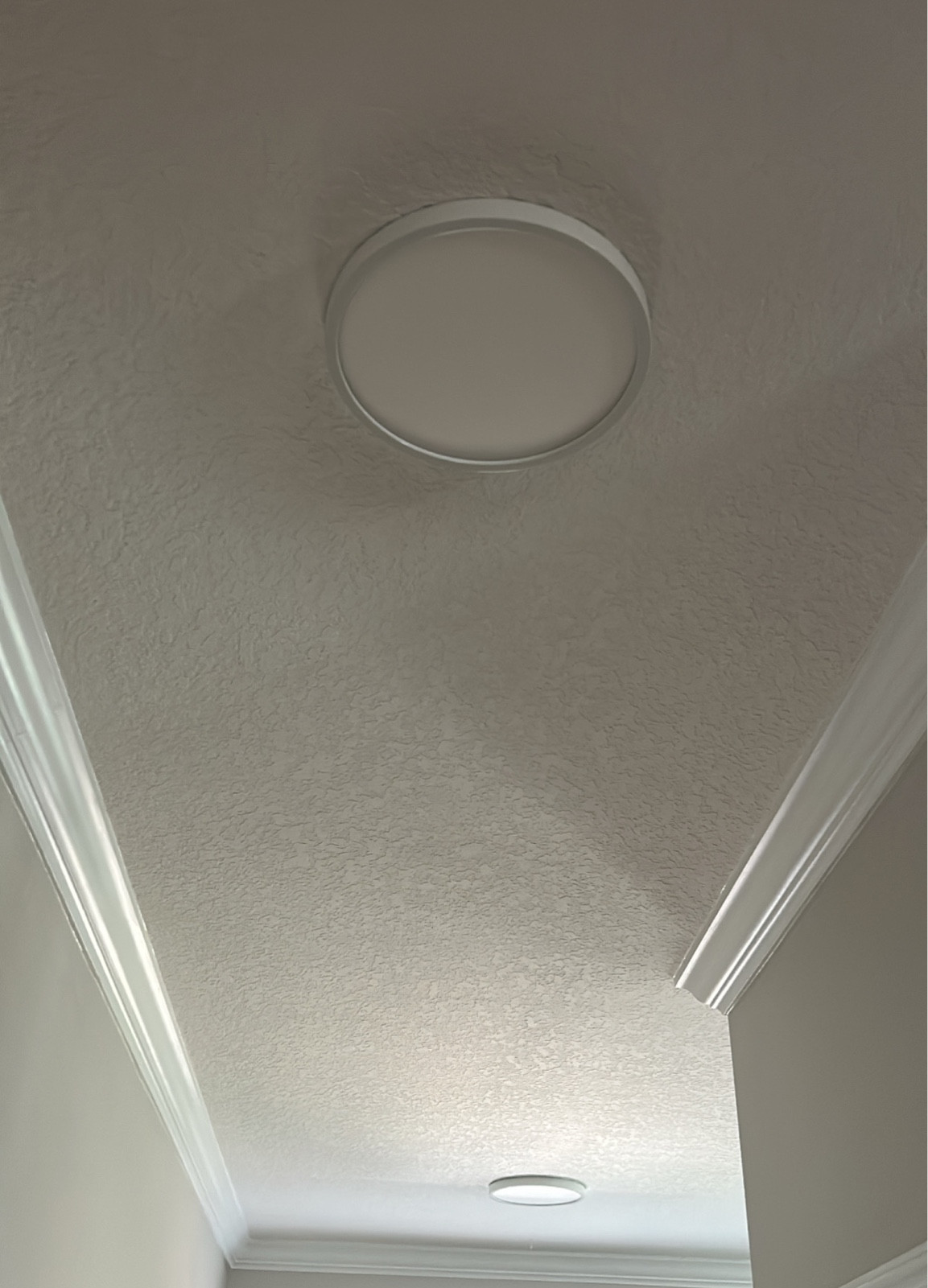 Semi flush mounted light- different finishes and adjustable hues 

#LTKhome