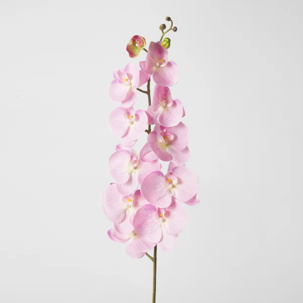Phalaenopsis Natural Touch Orchid  Spray Stem in Vase (Set of 12) | Wayfair North America
