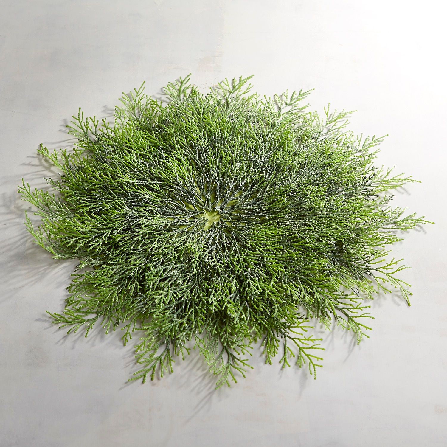 Cedar Branch Placemat | Pier 1 Imports