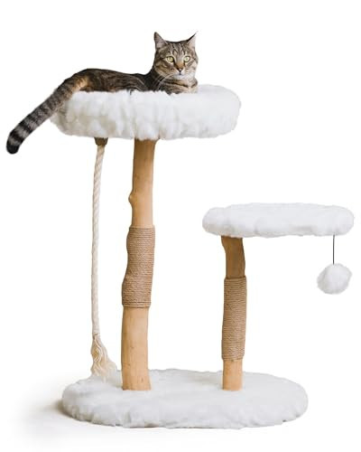 Mau Lifestyle Luxury Cat Tree: Modern Cat Condo & Luxury Wood Cat Tower; Natural Branch Scratching Tree & Cat Condo; Cat Gifts by Mau | Amazon (US)