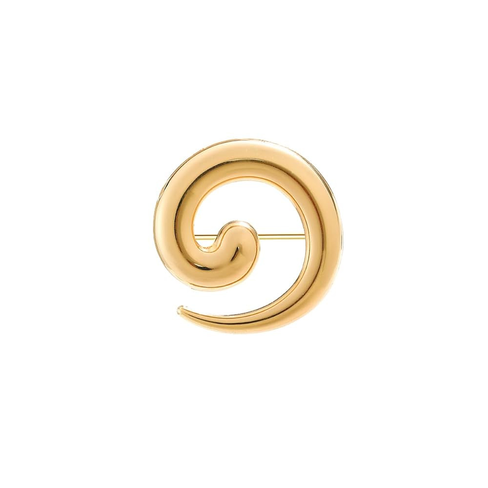 Round Snail Brooch Pin for Women Men Gold/Silver Plated Chunky Minimalist Unique Twist Lapel Pins... | Amazon (US)