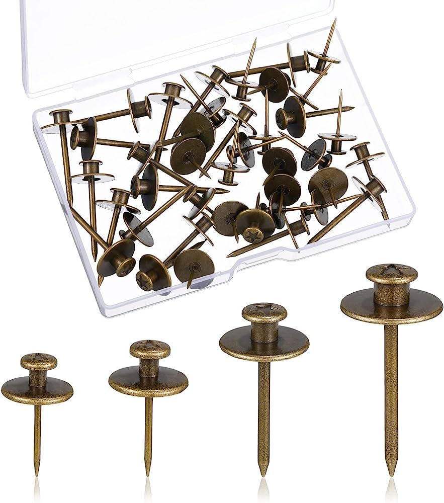 Zhengmy 40 Pcs Double Headed Picture Hangers Nails Thumb Tacks Small Head Hanging Nails Push Pins... | Amazon (US)