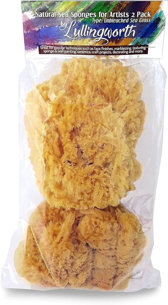 Natural Sea Sponges for Artists - Unbleached 5"-5.5" 2pc Value Pack: Great for Painting Decoratin... | Amazon (US)