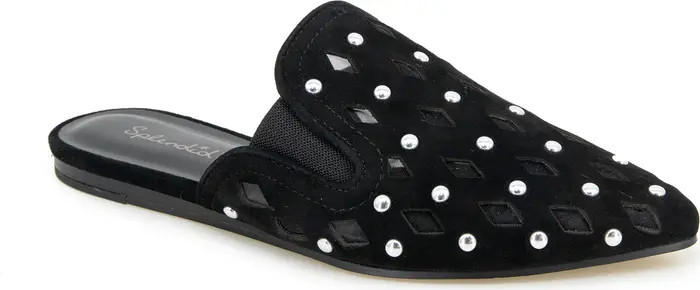 Splendid Linna Pointed Toe Mule (Women) | Nordstrom | Nordstrom