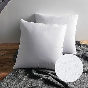 LEMONWORLD 22 x 22 Throw Pillow Inserts Outdoor Pillow Insert Waterproof for Couch - Set of 2 Lar... | Amazon (US)