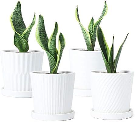 Greenaholics Plant Pots - 5.1 Inch Cylinder Ceramic Planters with Connected Saucer, Pots for Succ... | Amazon (US)