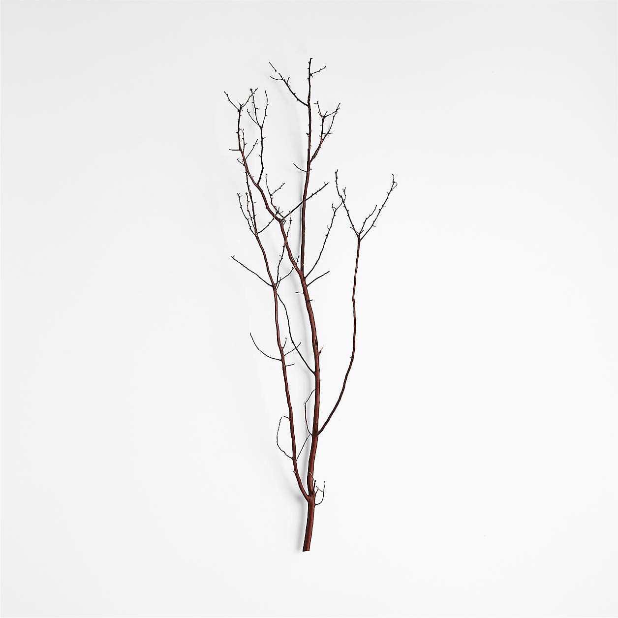 Manzanita Branch + Reviews | Crate and Barrel | Crate & Barrel