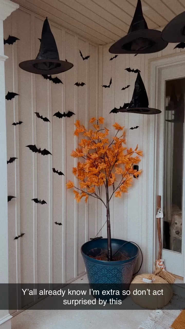 Halloween Decor! 

#frontdoor #halloween #decor #discover

#LTKHome #LTKStyleTip #LTKSeasonal