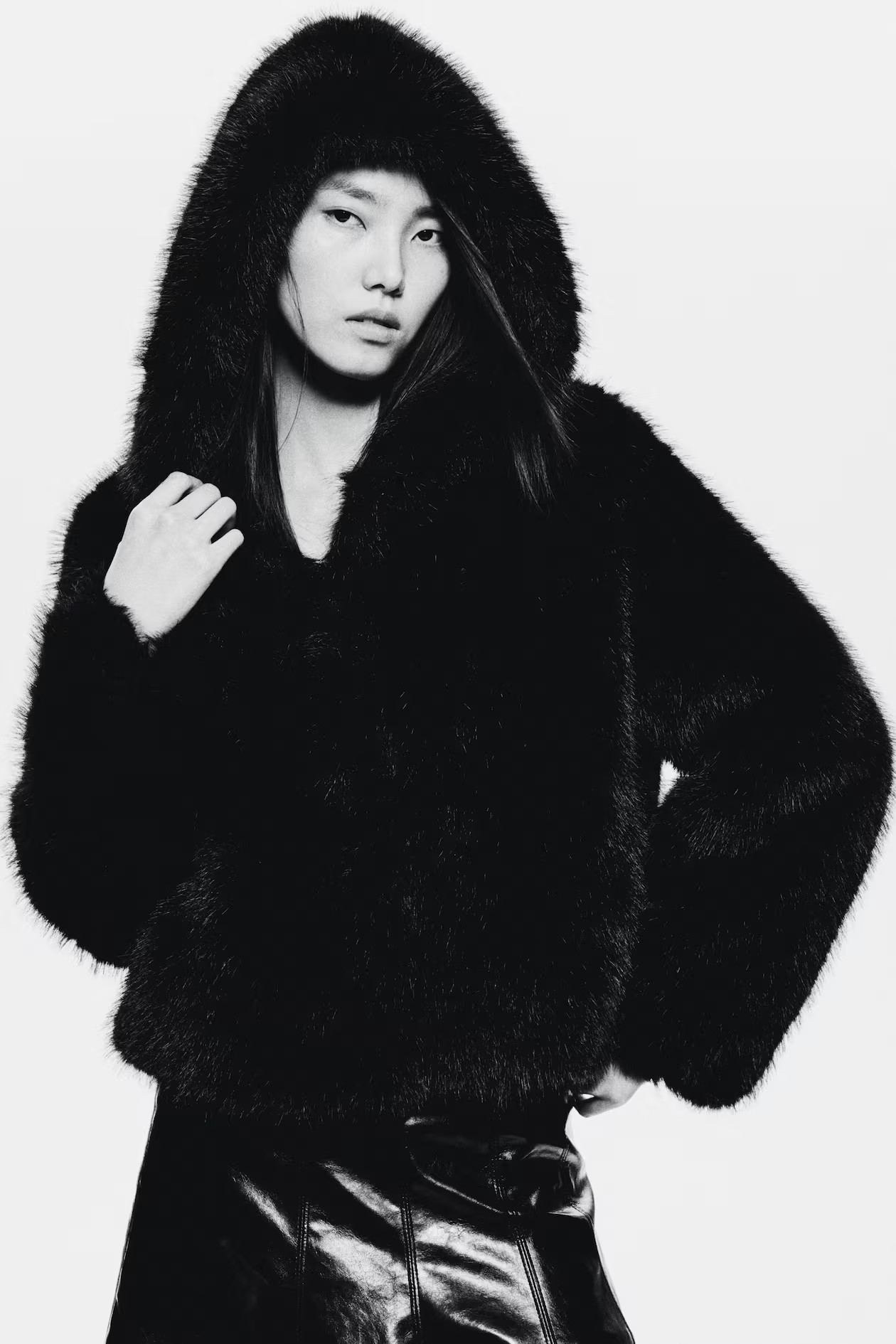 Hooded Jacket | H&M (US + CA)