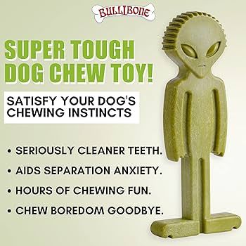Bullibone Alien Bone: Chew Toy for Aggressive Chewers and Small Dogs | Amazon (US)
