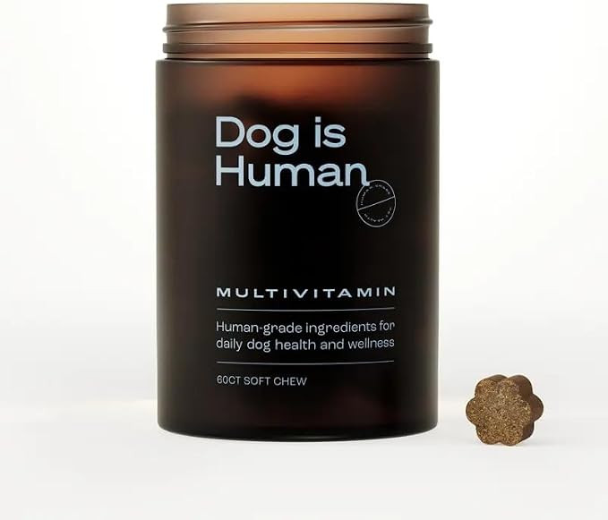 Dog is Human-60Counts,Easy to use(1PCS) | Amazon (US)