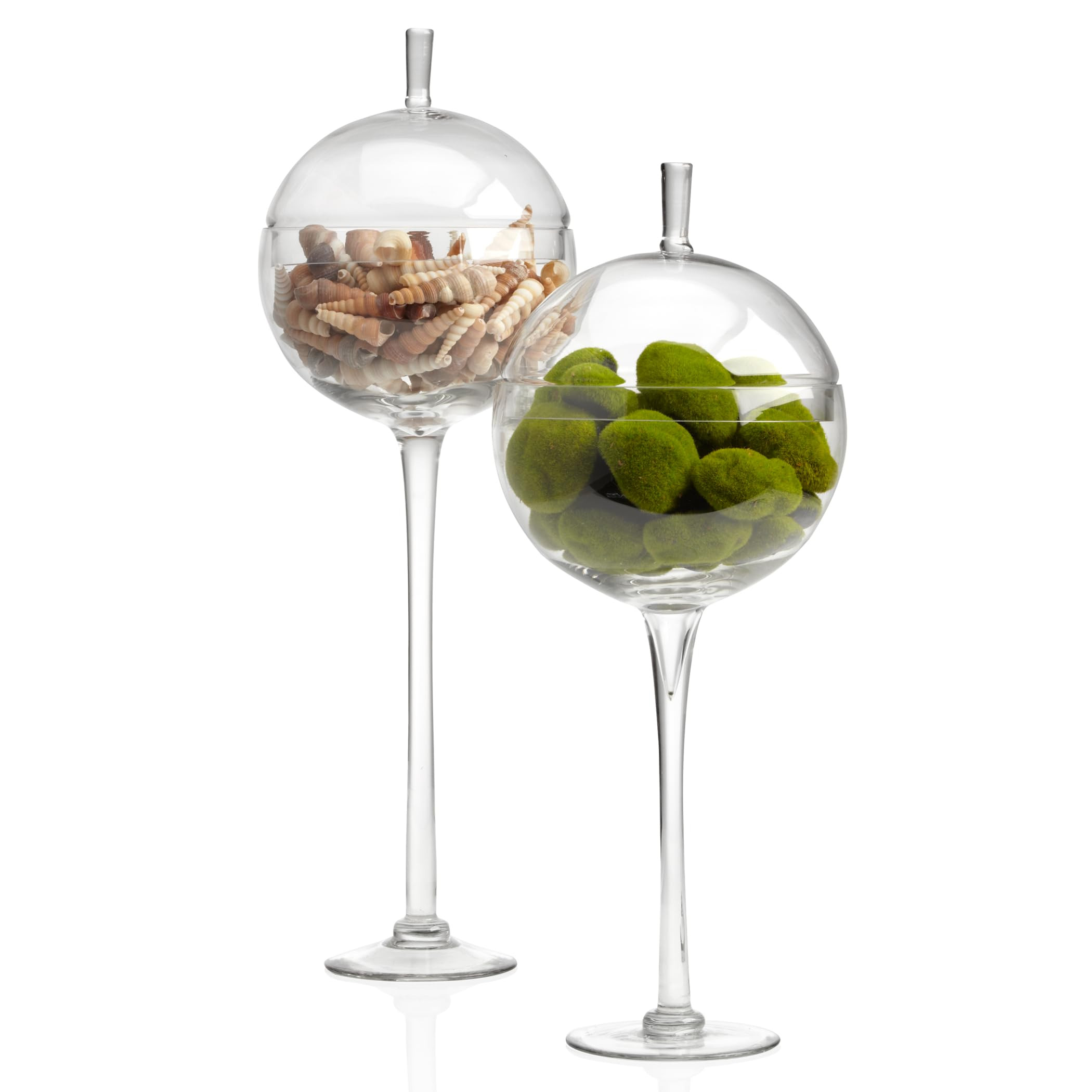 Z Gallerie Jules Glass Cloche, Hand-Blown Glasses Display Dome for Decorative Showcase Elegant Te... | Amazon (US)