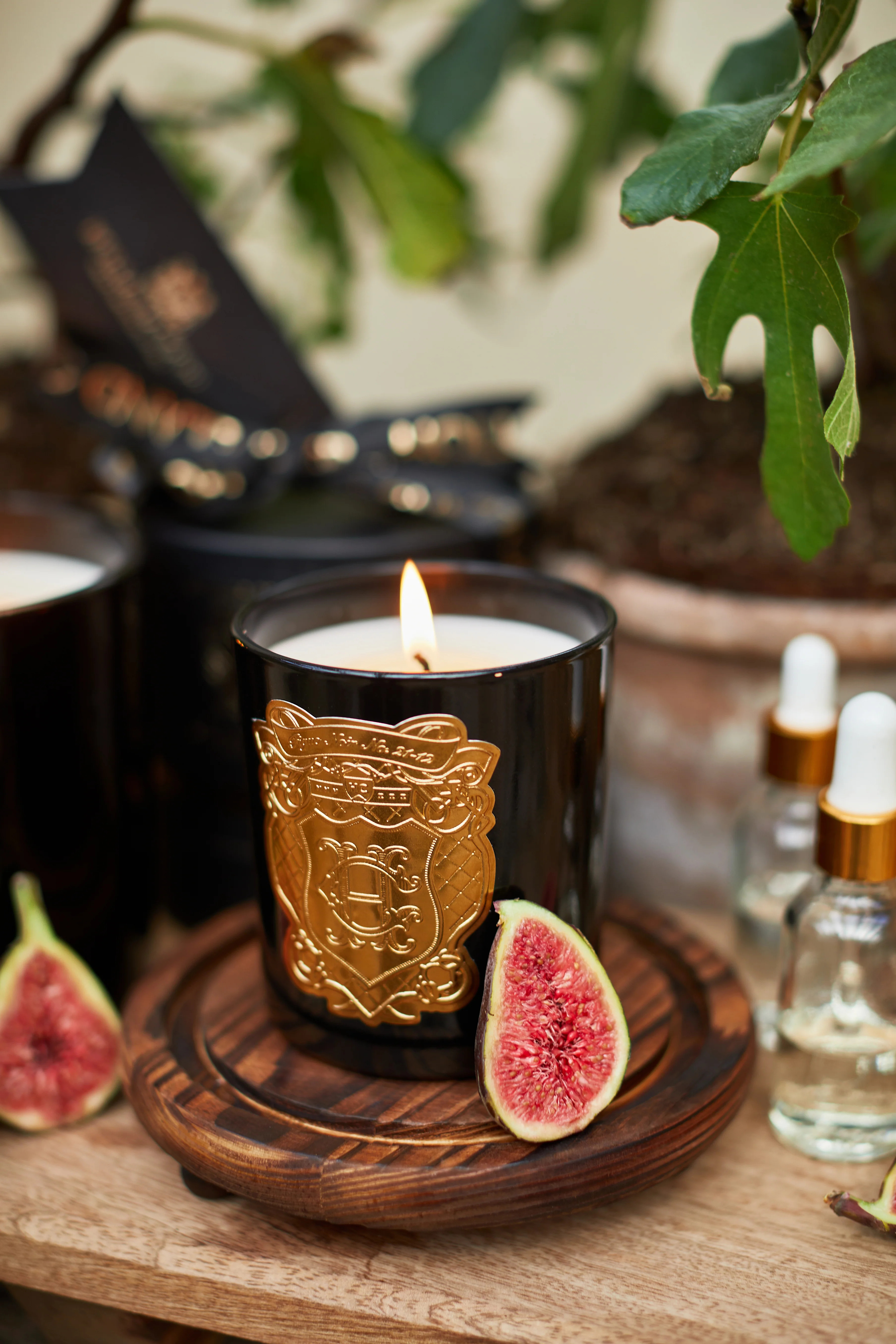 Single Wick Candle (Figue Noir) | Holland Cooper