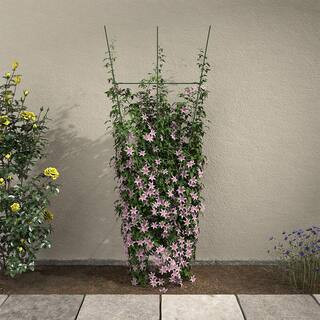 72 in. H Ivy Green Metal Trellis | The Home Depot