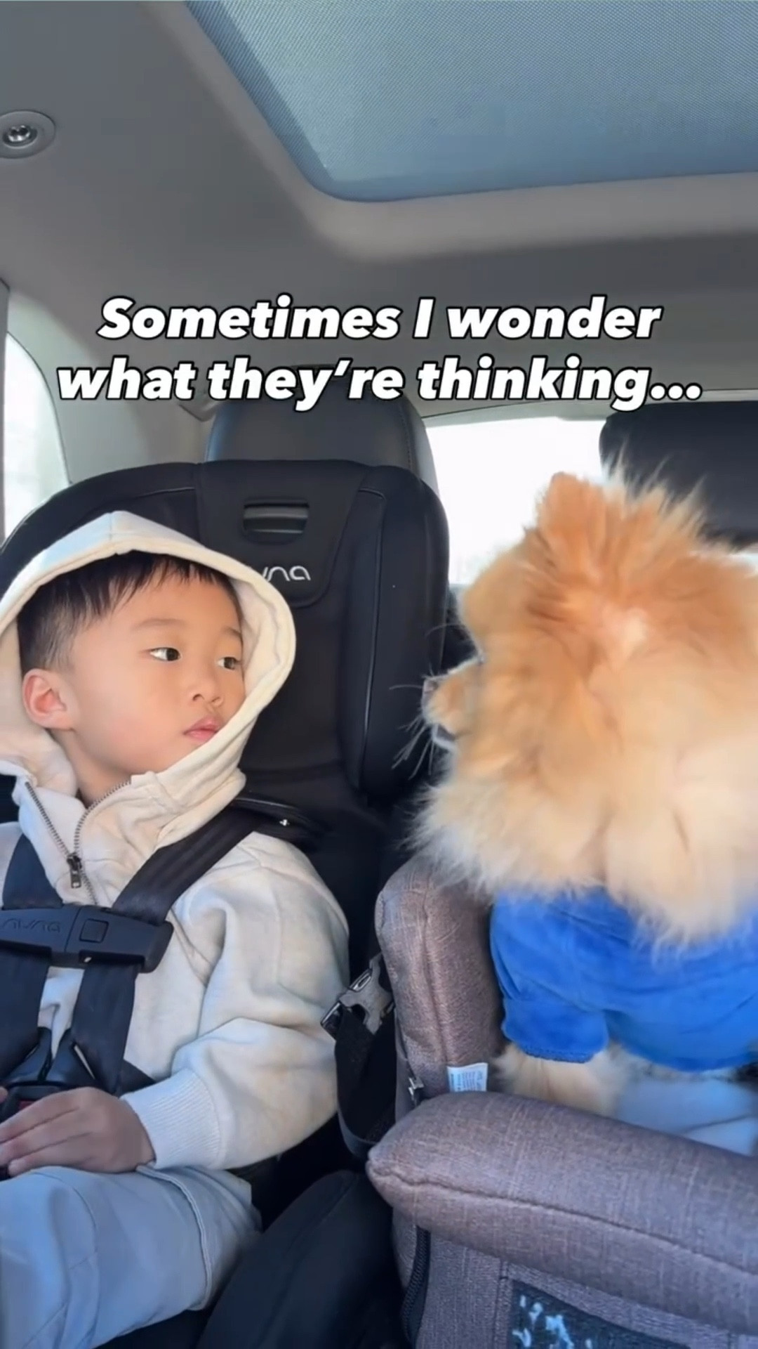Can someone please translate what they’re saying ? #bruh #funnyreel #trynottolaugh #bestfriends #brothers