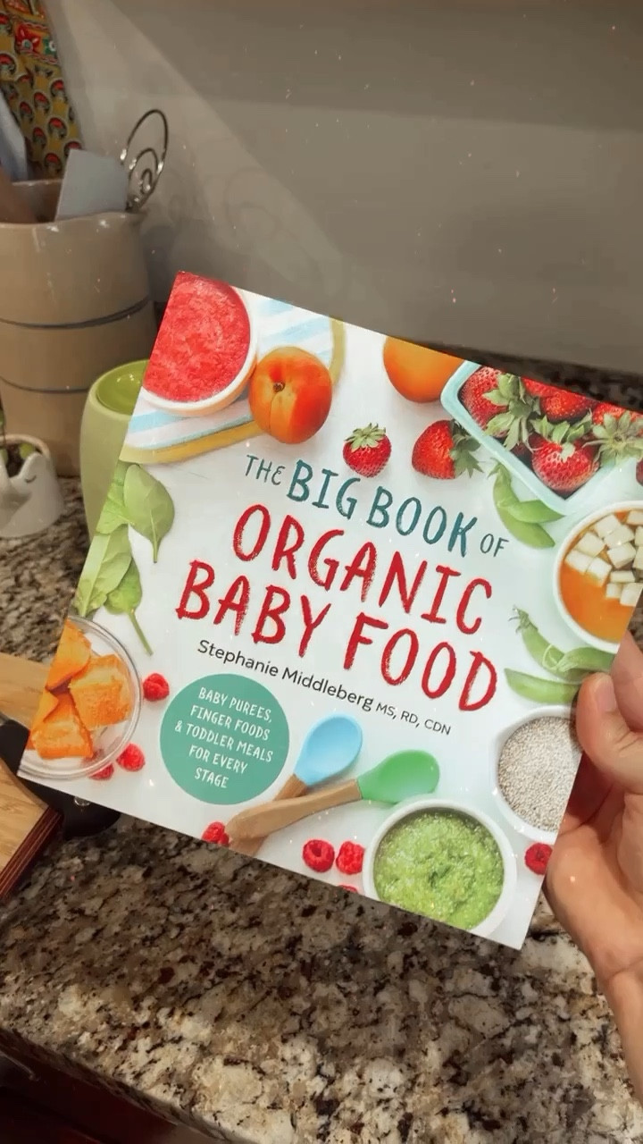 Organic baby best sale food book