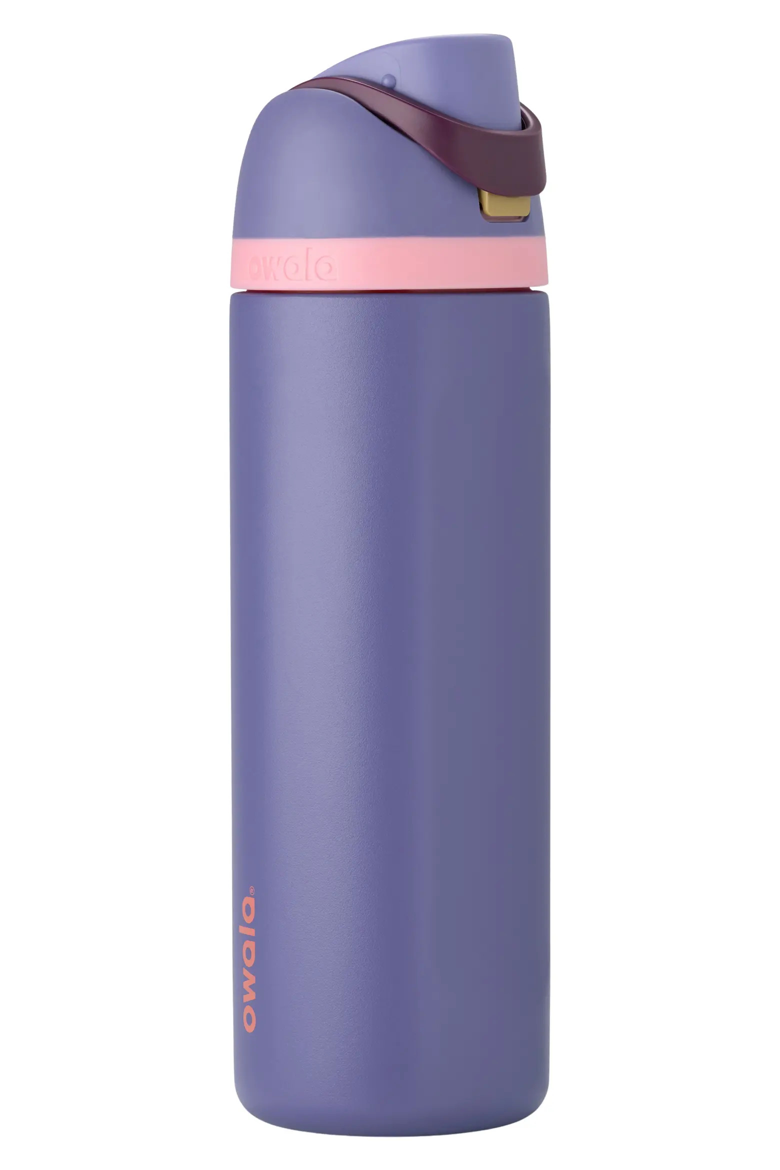 24oz. FreeSip Stainless Steel Water Bottle | Nordstrom | Nordstrom