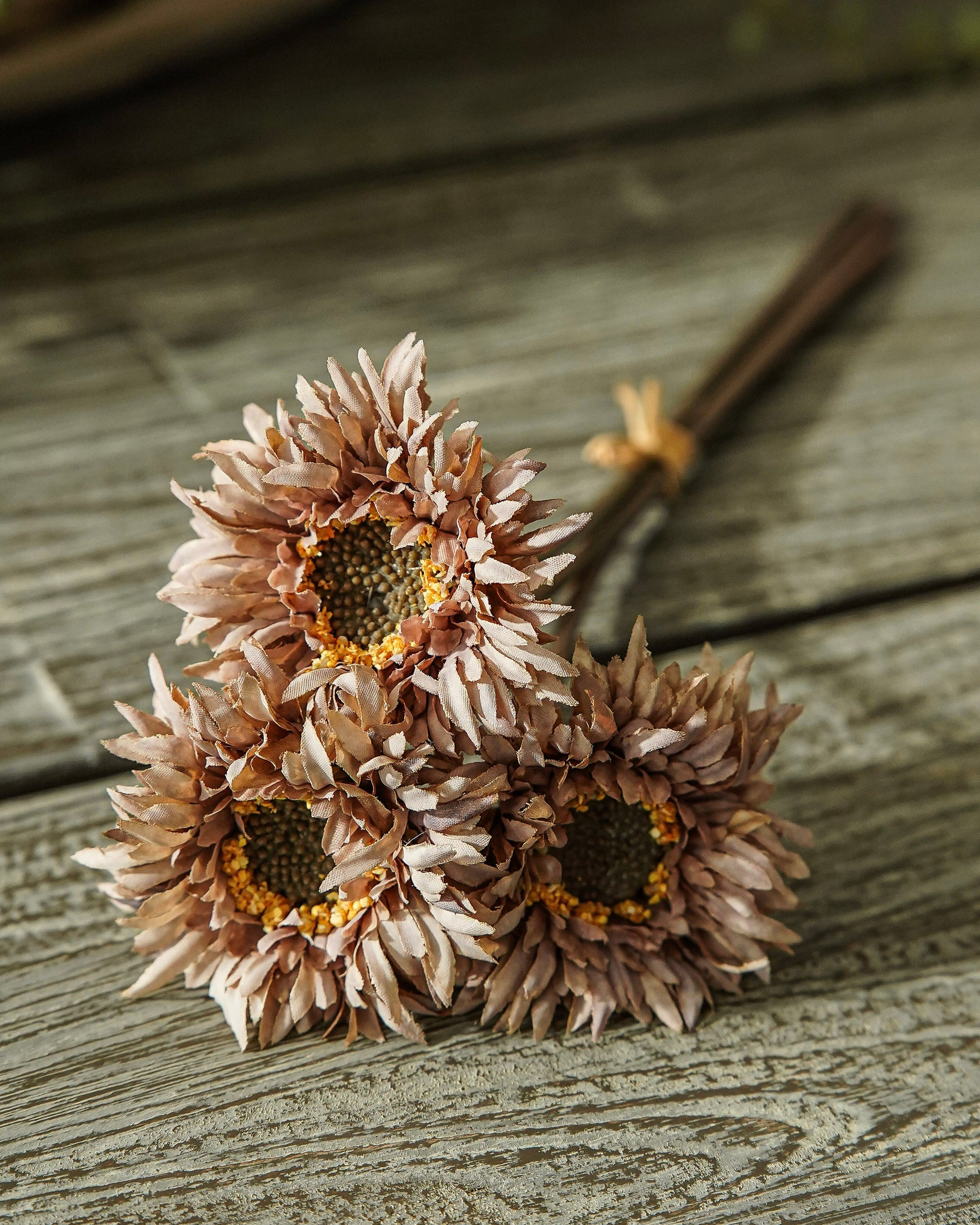 Muted Mauve Fall Daisy Bunch | MJHome