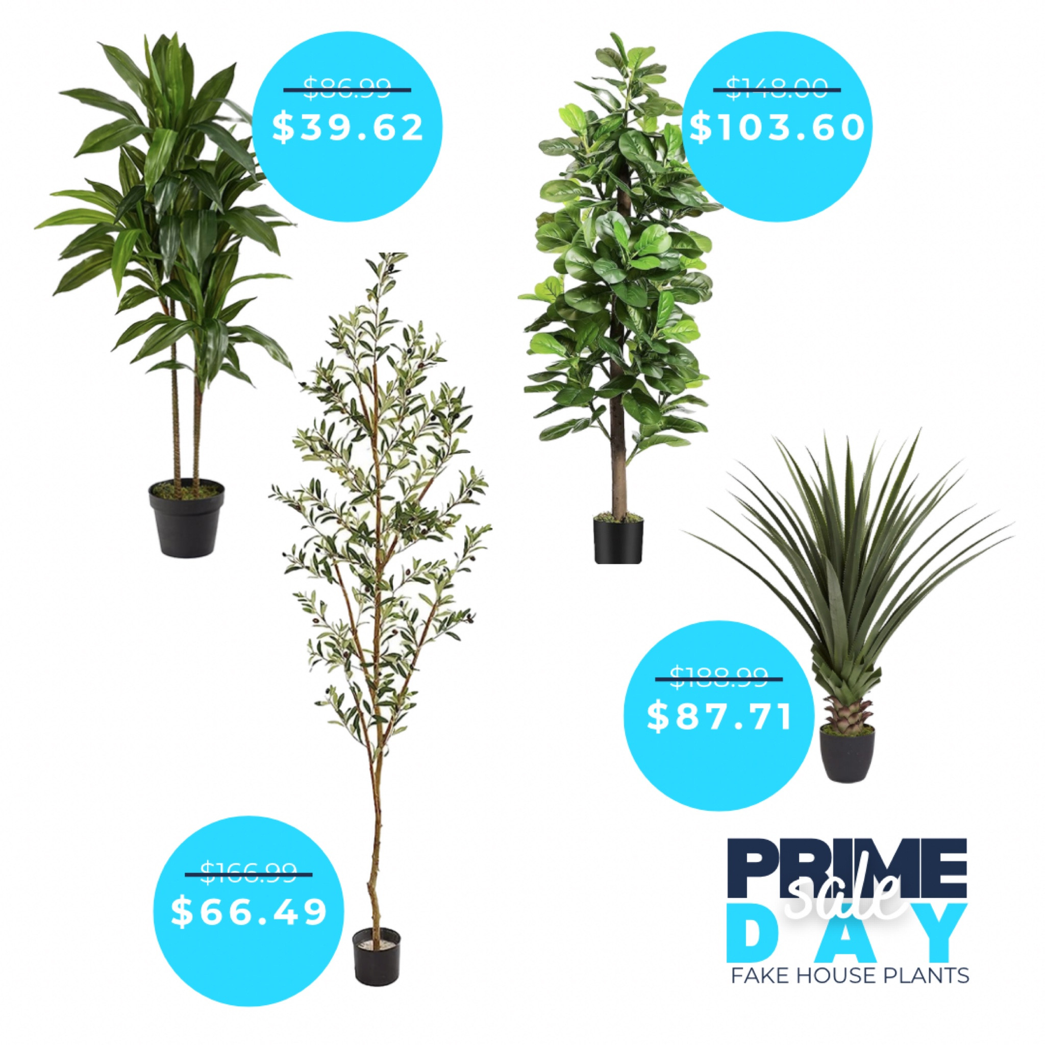 I am NOT a green thumb. But I love the look of greenery inside my home. So I need the most realistic looking fake plants to fill spaces and add some color. Here are some great options on the Prime Day sale today and tomorrow only!

#LTKxNSale #LTKxPrimeDay #LTKsalealert