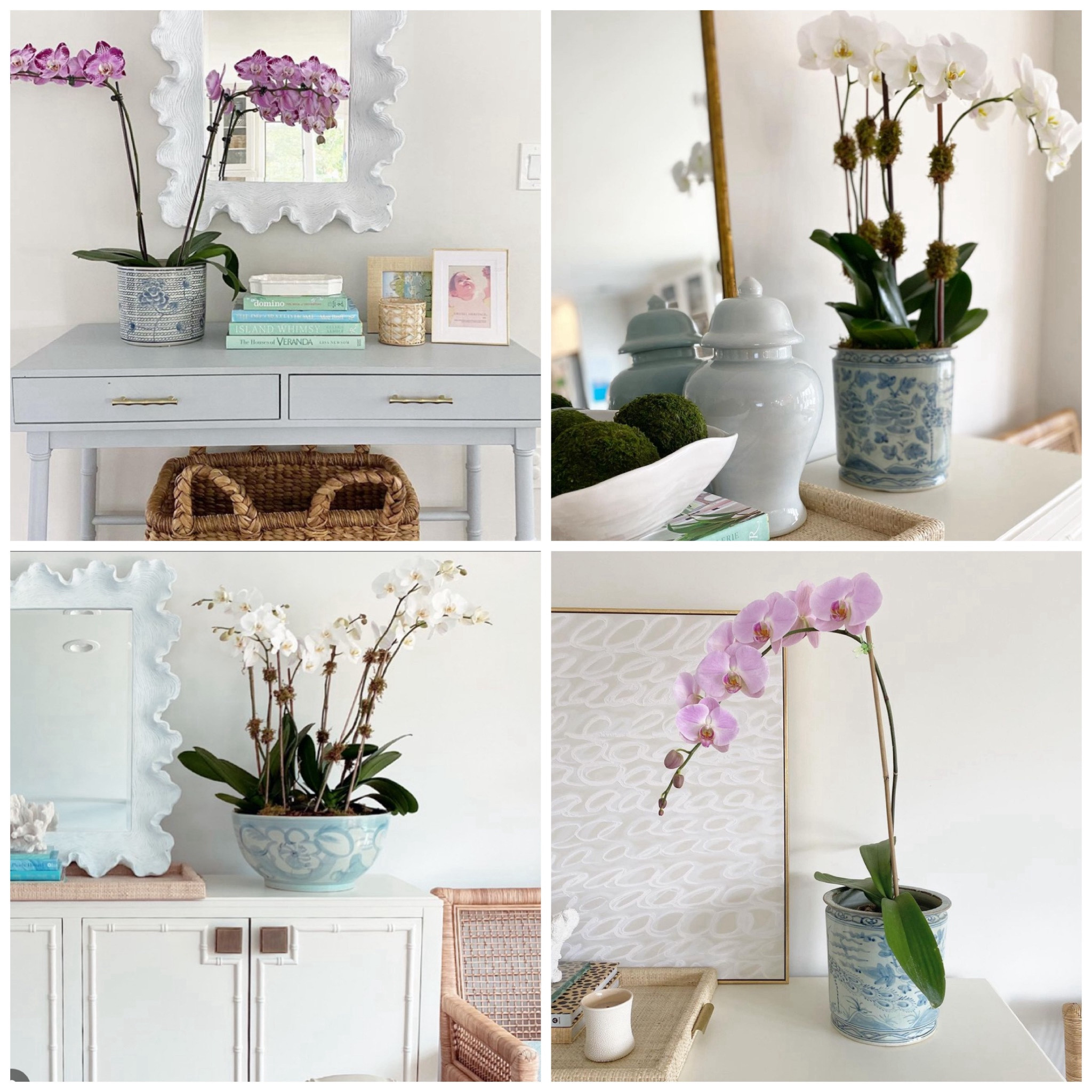 I’ve rounded up my favorite planters . These are especially my favorite because of there muted colors 💙
Homedecor
Designer looks for less 
Onsale 
Blue and white 
Grandmillennial 
Coastal grandmother 