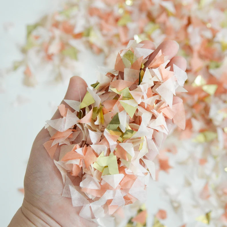 Terra Cotta Boho Confetti Biodegradable Paper Confetti Boho | Etsy | Etsy (US)