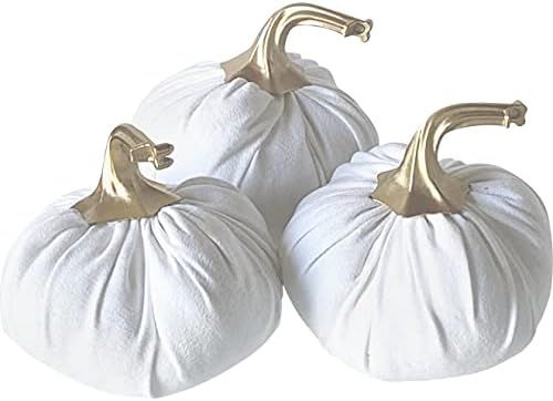 Set of 3 Mini White Suede Velvet Pumpkin with Gold Accents | Amazon (US)