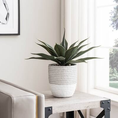 Buy Artificial Plants Online at Overstock | Our Best Decorative Accessories Deals | Bed Bath & Beyond