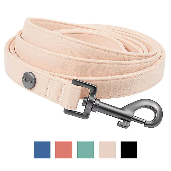 FRISCO Comfort Padded Dog Leash, Soft Beige Pink, Medium - Chewy.com | Chewy.com