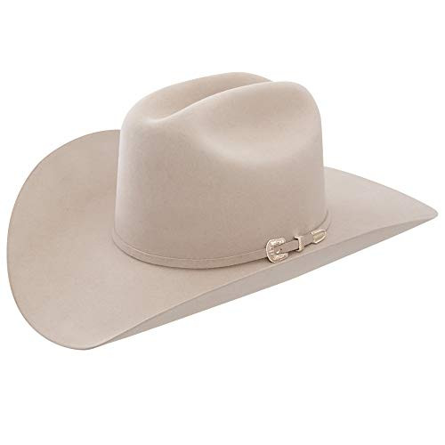 Stetson Men's 6X Skyline Fur Felt Western Hat Silverbelly 8 | Amazon (US)