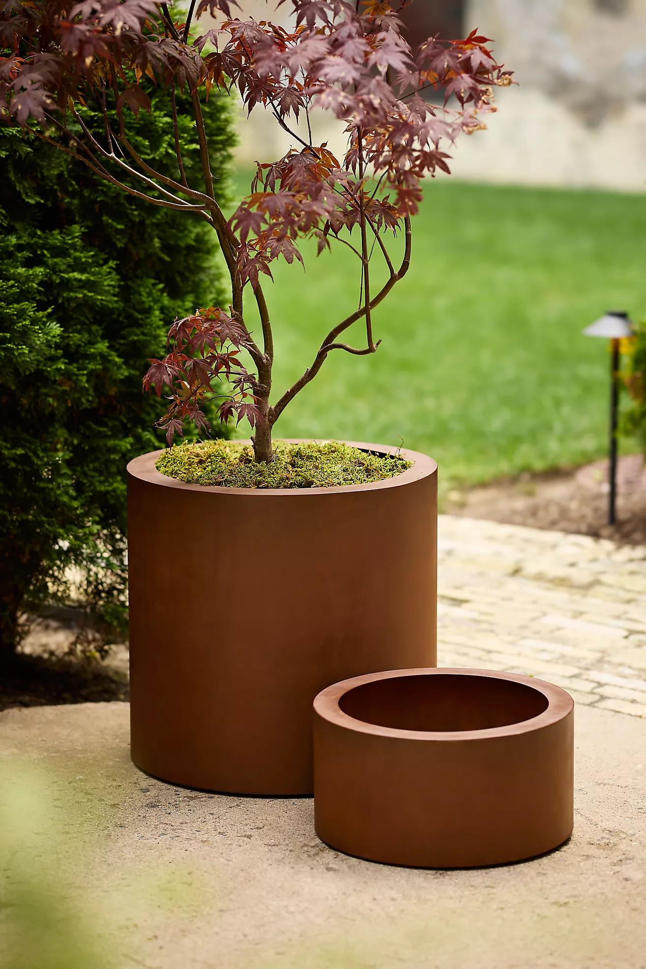 Weathering Steel Cylinder Planter | Anthropologie (US)