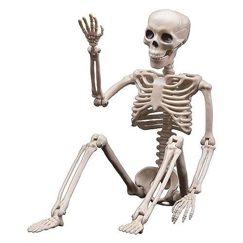 Halloween Skeletons Decorations 15.7 Inches, Realistic Full Body Movable Posable Joints Skeleton, Creepy Halloween Skeleton for Graveyard Decorations, Haunted House Accessories | Amazon (US)