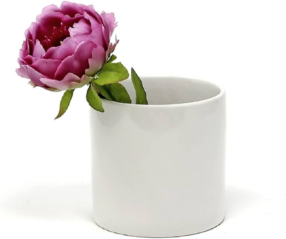 Serene Spaces Living Glossy White Ceramic Cylinder Vase, Contemporary Floral Container, Planter P... | Amazon (US)