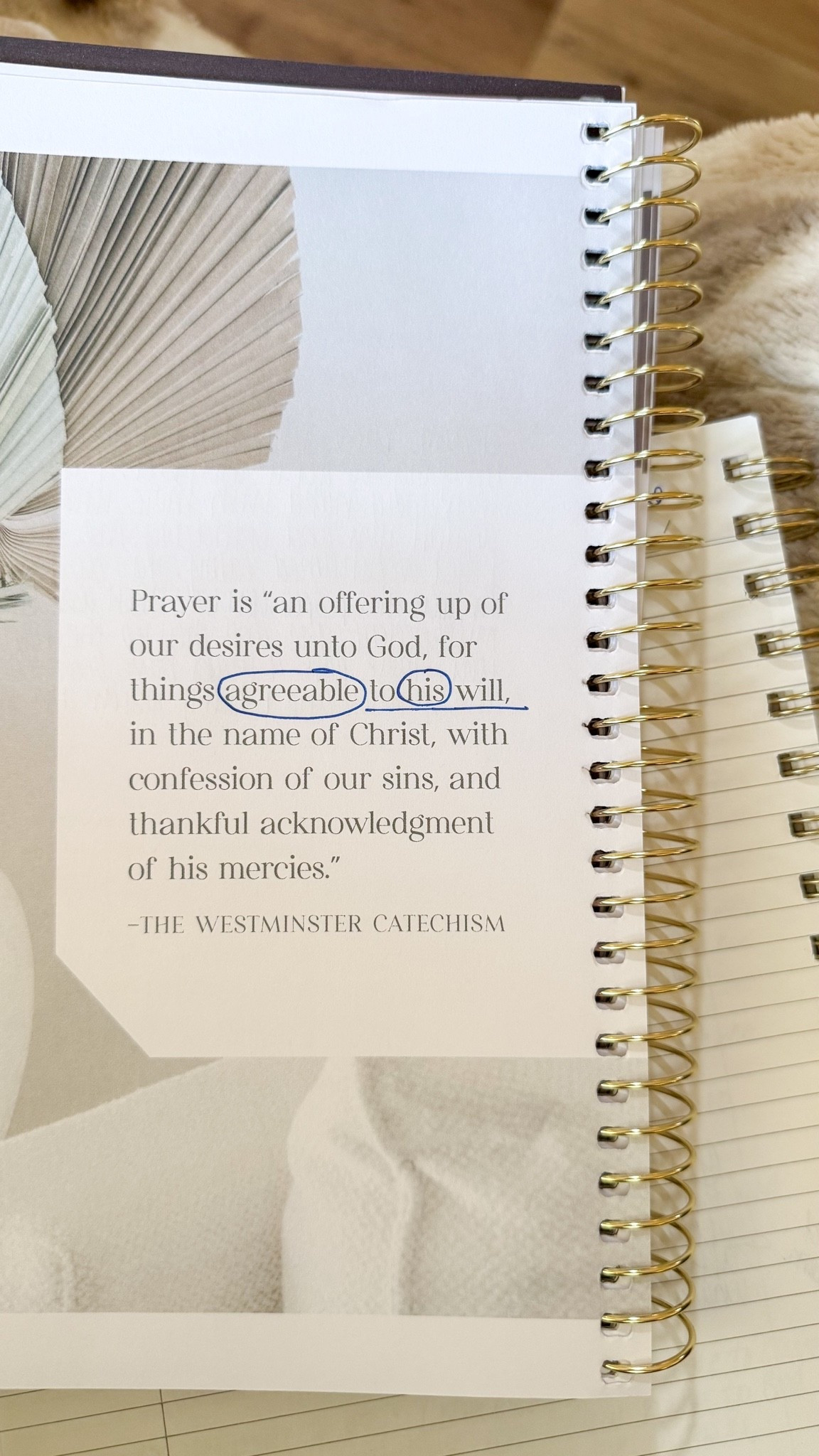 Pray Bible study | the daily grace co

#LTKmomlife #LTKHome #LTKSaleAlert