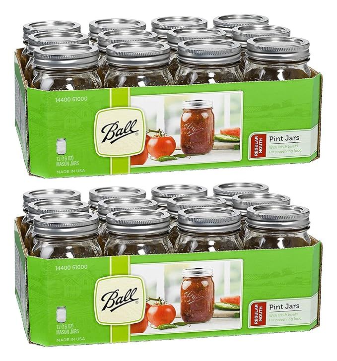 Ball Regular Mouth Pint 16-oz Mason Jar with Lids and Bands (Pack of 24) | Amazon (US)