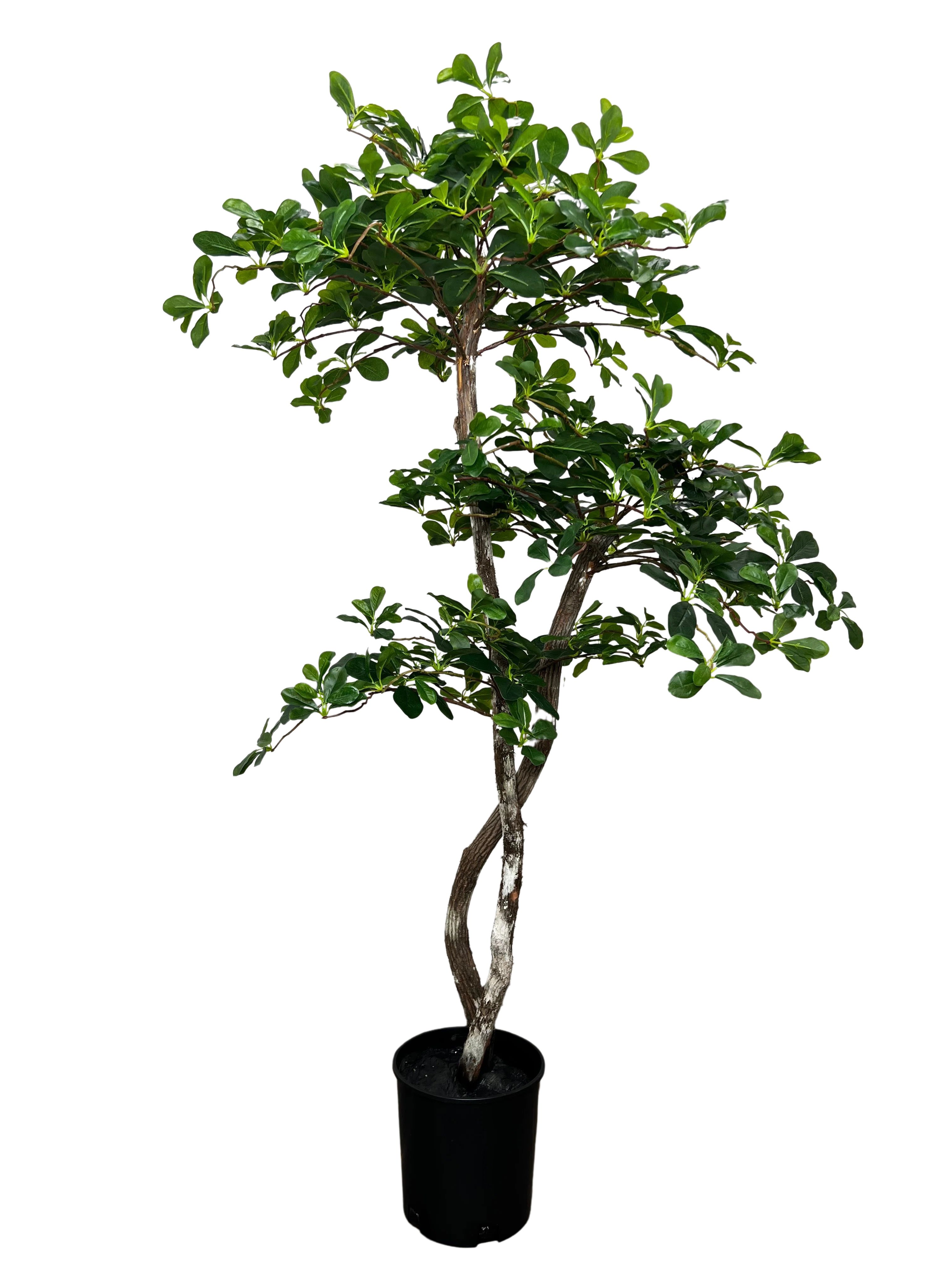 Primrue Hand-Made Primrue Fresh Italian Black Olive Leaf 5'' Artificial Tree & Reviews | Wayfair | Wayfair North America