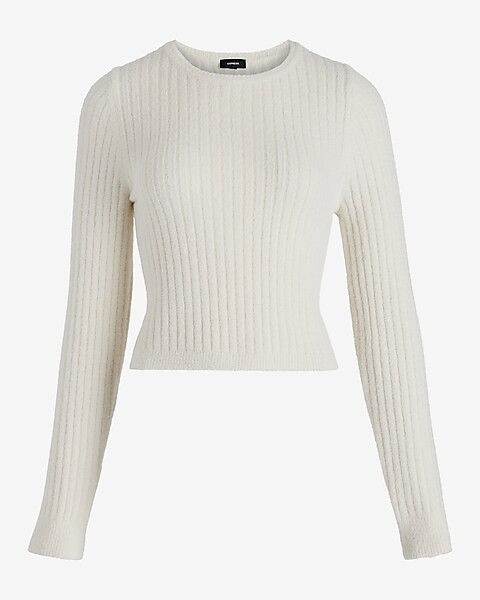 Fitted Ribbed Plush Knit Crew Neck Sweater | Express