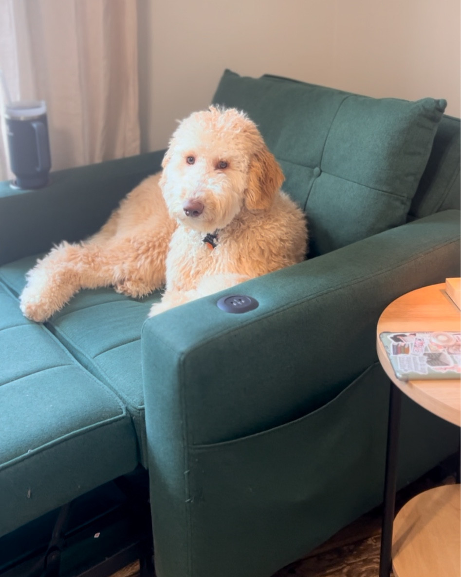 Best Reading Chair! #booktok #reading #books #bookrecommendations #readingchair #amazon #amazonchair #amazonfind

#LTKhome #LTKfindsunder100 #LTKGiftGuide