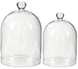 Established 98 20244 Rounded Glass Cloche, Set of 2 | Amazon (US)