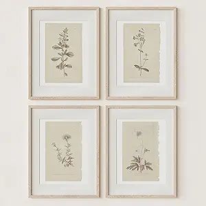 Wall Art Botanical Plant Prints | Vintage Flower Boho Minimalist Floral Artwork Decor for Bedroom... | Amazon (US)