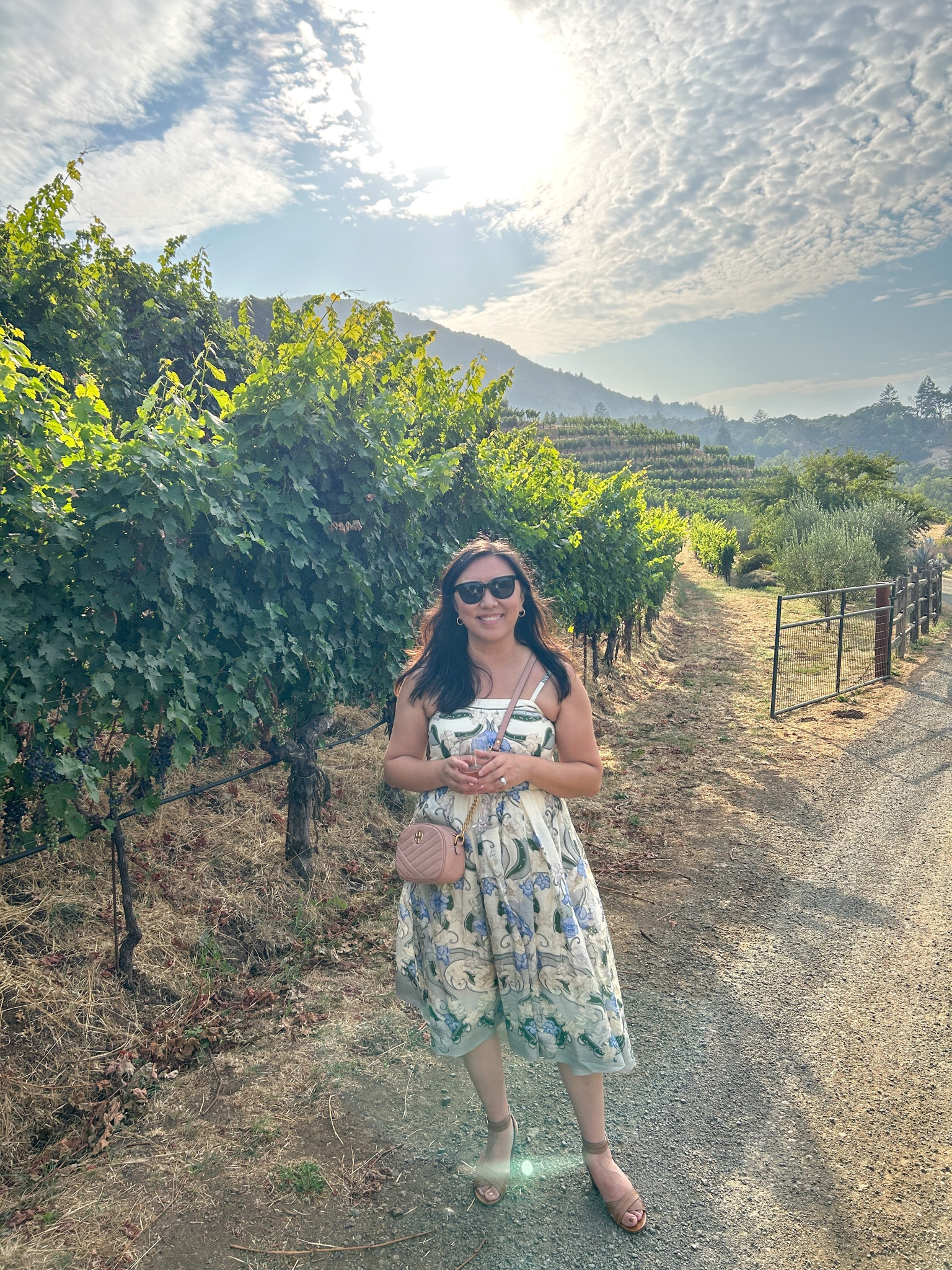 We were told there are around 4000 wineries in Northern California. It was fascinating to see endless rows of grape threes wherever you drive in Sonoma and Napa.

#LTKtravel #LTKover40