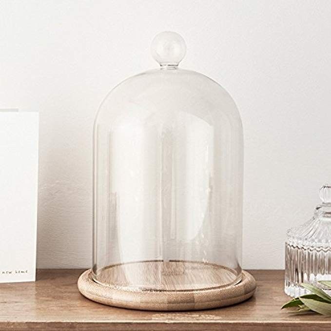 Glass Cloche Bell Jar Display Dome with Bamboo Base - 9" x 6" | Amazon (US)