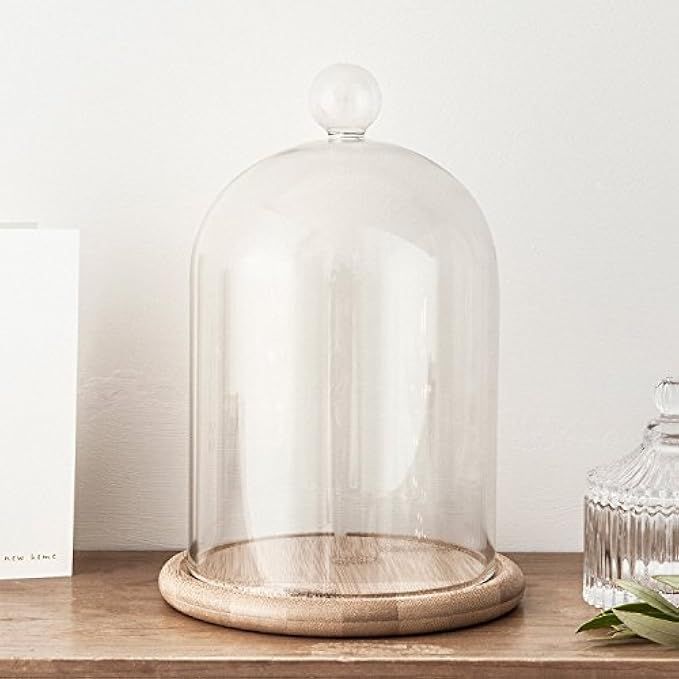 Glass Cloche Bell Jar Display Dome with Bamboo Base - 9" x 6" | Amazon (US)